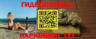 дживик Можга
