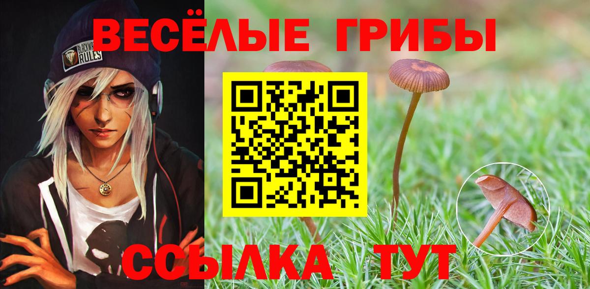 Псилоцибиновые грибы Magic Shrooms  Вход с VPN  Уварово  как найти закладки  Галлюциногенные грибы Magic Shrooms 