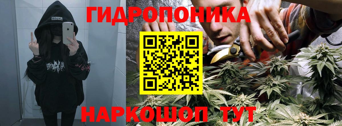 Бошки марихуана гибрид  Канабис MAZAR  Уварово  Шишки марихуана OG Kush  Вход с VPN 